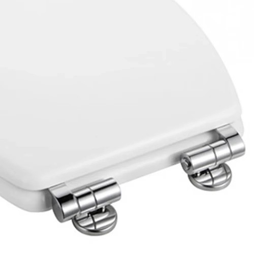 Toilet seat hinges - toilet,