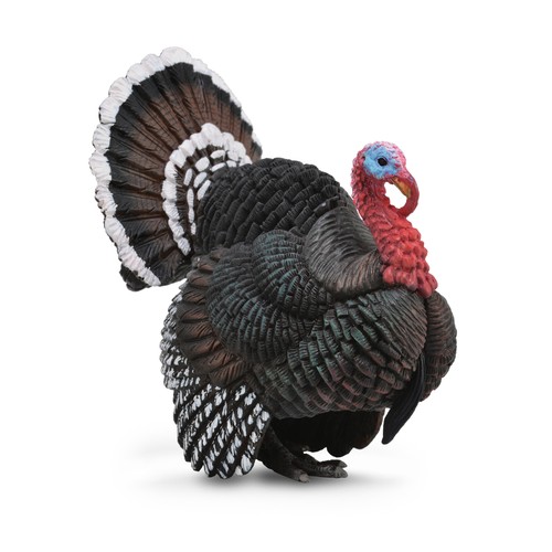 Collecta turkey - collecta,