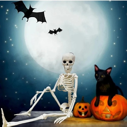 Full size halloween skeleton - full,