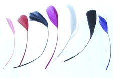 Long Fascinators Feathers