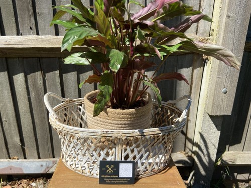 Vintage wrought iron lattice - iron,