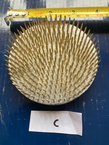 Flower frog with - spikes,
