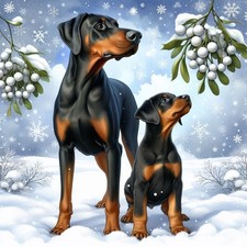 Single Luxury Doberman Christmas Card Dog Gift/Present XMP