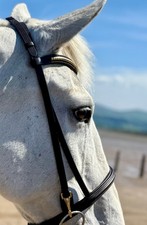 Clip Work Bridle with