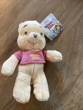 Winnie the Pooh soft pastel