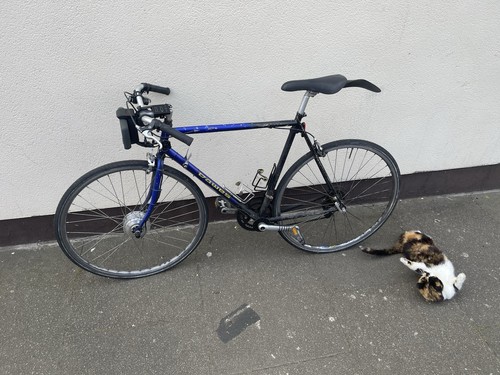 Dawes bike with swytch - dawes,