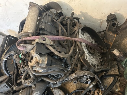 Isuzu nqr npr - isuzu,