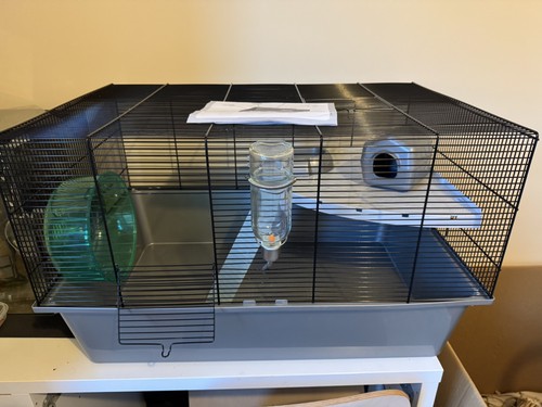 Hamster mouse cage with - mouse,