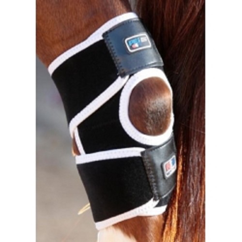 Premier equine magnetic hock - equine,