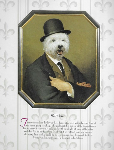 West highland white terrier - west,