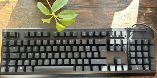 Razer blackwidow wired - v4, x