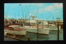 1950s Visitors Viewing the Day's Catch Fishing Boats Dock Ocean City MD Postcard
