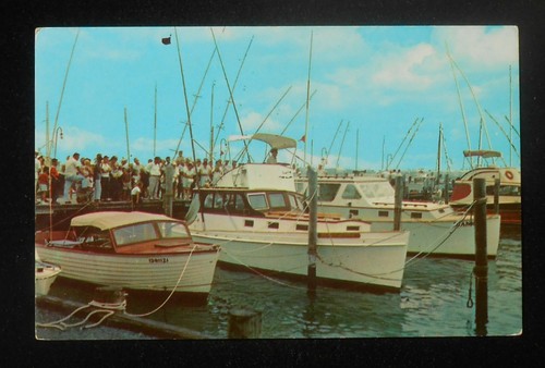 1950s visitors viewing the - visitors,