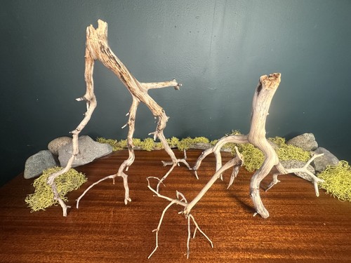 Pack manzanita driftwood - 3,