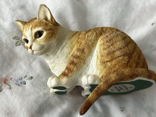 Country artists ginger tabby - artists,