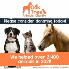 Oak Tree Animals Charity
