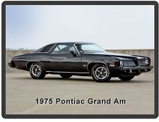 1975  Pontiac Grand Am Auto