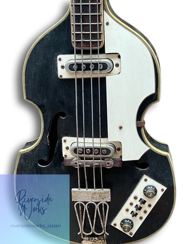 Domino electric bass - bass, violin