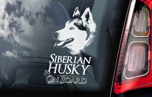 Siberian husky car sticker - husky,