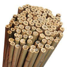6ft Good Quality Strong Bamboo Garden Canes Pack of 50