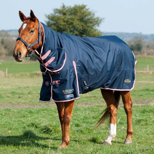 Gallop trojan ponie - gallop,