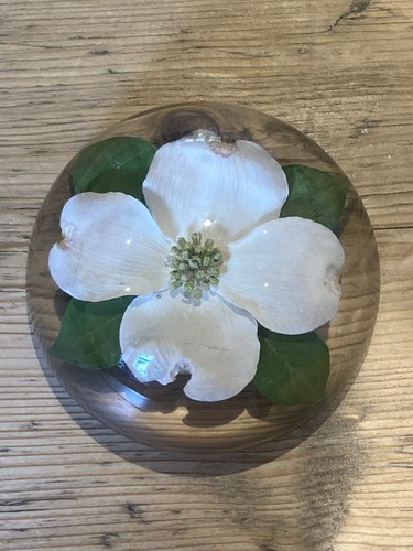 Lucite dogwood flower vintage - flower,