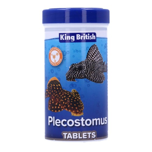 King british pleco - pleco, bottom