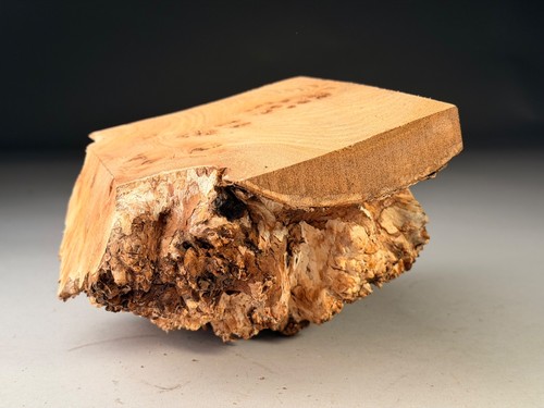 Amazing live edge burr elm - amazing,