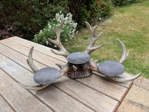 Antler candle holder table - candle, holder,