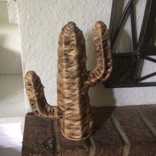 Wicker cactus from woven - woven, water