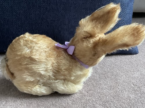 Vintage steiff pummy - vintage,