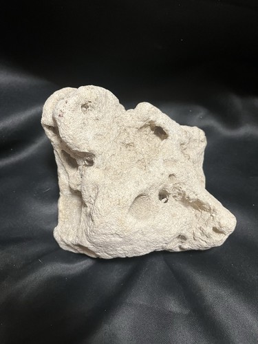 5oz texas holey - rock, free