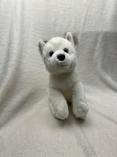 Lapland lumi husky malamute - lumi,