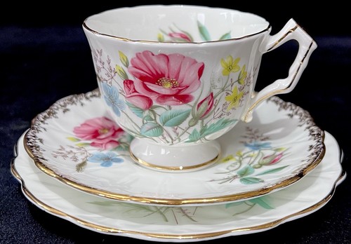 Aynsley wild rose - aynsley, rose”