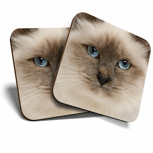 Coasters blue eyed cat - blue,