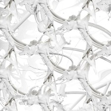 Ziúr U Feel Anything? (Vinyl)