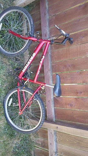 Original raleigh max - max, used