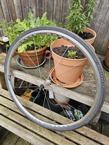 Shimano front wheel - wheel, 700c