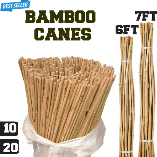 Bamboo garden canes - heavy, duty