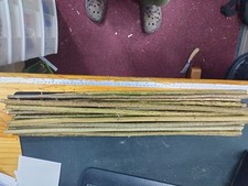 HAZEL sticks   60CM LONG X