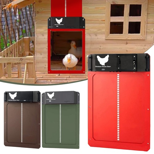 New automatic chicken coop - chicken,