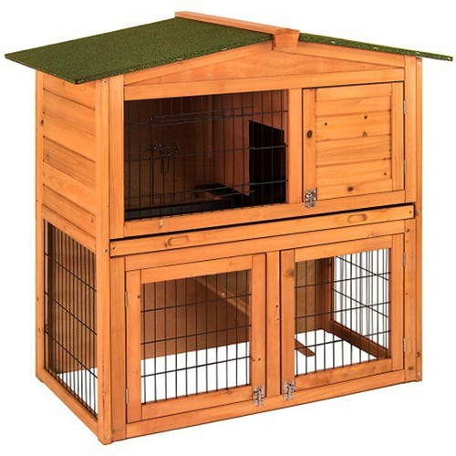 Rabbit hutch guinea - rabbit, pig