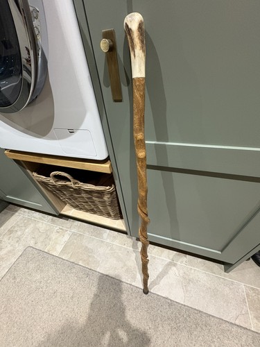 Walking stick cane with - walking, horn
