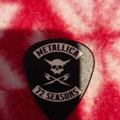 Metallica seasons guitar - metallica,