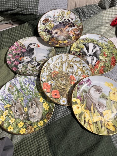 Royal kendal collector - royal, plate