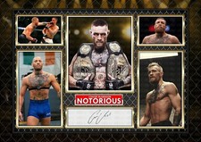 Conor McGregor - UFC - Boxing
