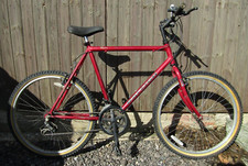 Raleigh Endurance Series Gents