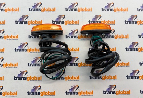 Side repeater indicator wing - repeater,