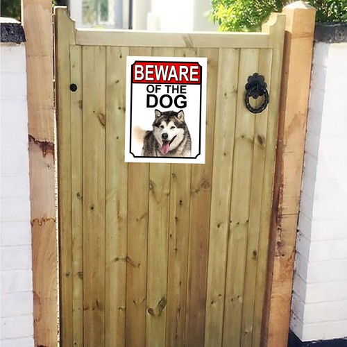 Beware the dog - beware, siberian