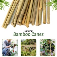 2FT 3FT 4FT 5FT 6FT Bamboo